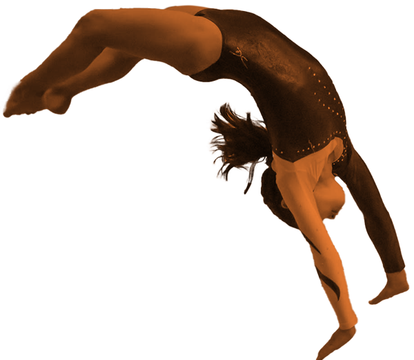 Arabian Gymnastics use gymnastics club management software