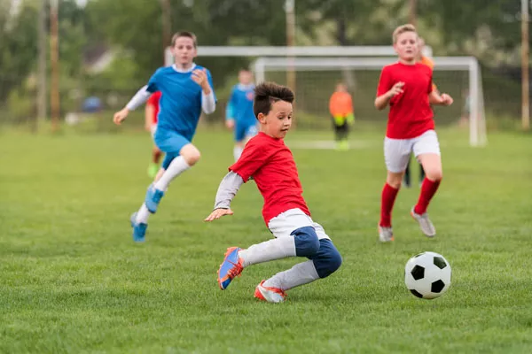 Maintain football club earning with management software from LoveAdmin